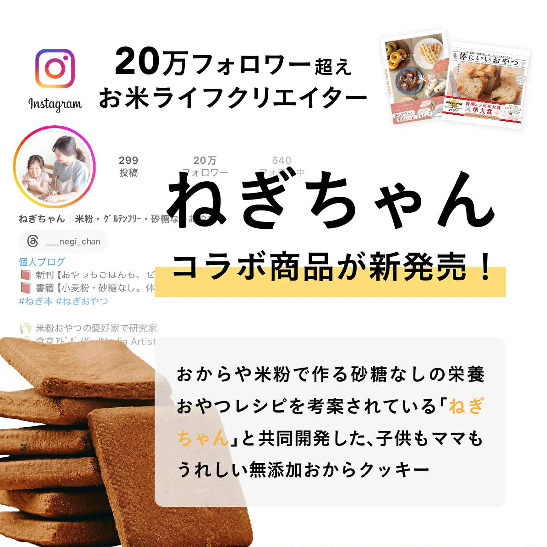 【OKARAT】真面目なおからクッキー