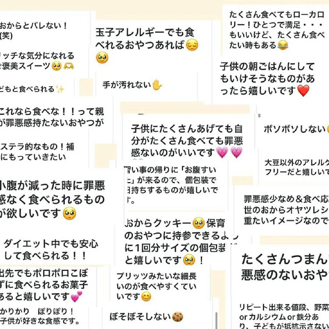 【OKARAT】真面目なおからクッキー